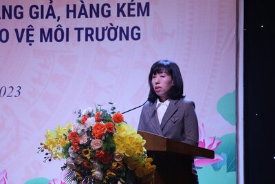 Phó Cục trưởng Cục ATMT Đỗ Phương Dung phát biểu tại hội thảo