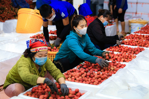 Tăng cường xúc tiến tiêu thụ vải thiều, giới thiệu các sản phẩm chủ lực tỉnh Bắc Giang