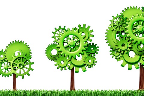 National steering committee on green growth established