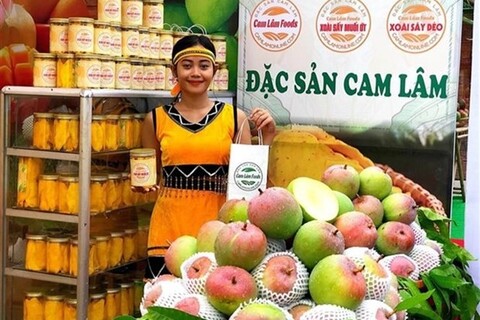 Domestic trade to grow at 8-9% a year: MoIT
