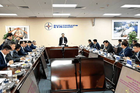 Ensuring safe and stable power supply for the Lunar New Year 2026