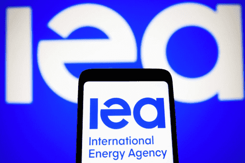 Ministry of Industry and Trade of Viet Nam welcomes the International Energy Agency collective action 