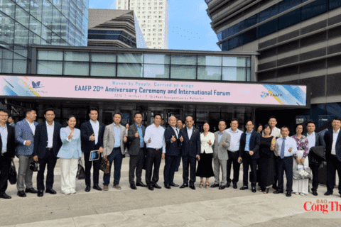 Promoting Vietnam - South Korea cooperation to integrate businesses into global supply chains