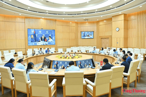 Deputy Minister Nguyen Hoang Long holds virtual meeting with the Russian Federation’s Ministry of Energy