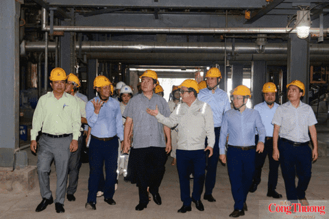 Deputy Minister Nguyen Sinh Nhat Tan inspects biofuel production capacity in Central Vietnam