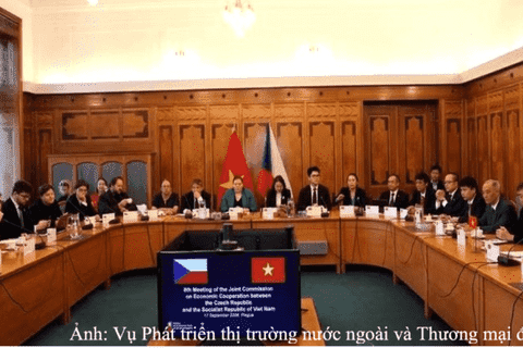 8th Session of the Viet Nam - Czech Republic Intergovernmental Committee