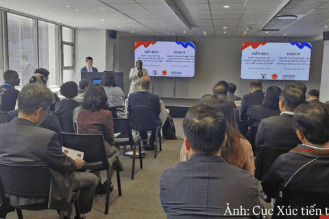 Viet Nam and South Africa expand room for economic cooperation