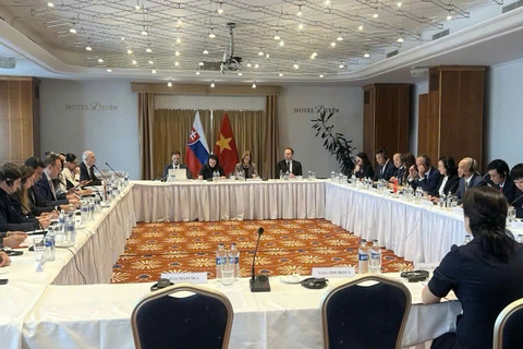 Third session of Viet Nam - Slovakia Intergovernmental Committee on economic cooperation