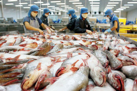 CPTPP holds potential for Vietnam’s tra fish exports