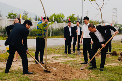 Trồng cây xanh tại công trường xây dựng Nhà máy Nhiệt điện Quảng Trạch 1