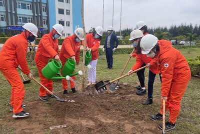 Ccây xanh tại tại khuôn viên Nhà máy Nhiệt điện Thái Bình
