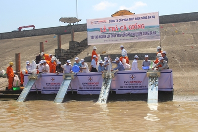 Nằm trong chuỗi các hoạt động hưởng ứng Ngày Môi trường thế giới 5/6 và Tháng hành động vì Môi trường năm 2022, ngày 1/6, Công ty Cổ phần Thủy điện Sông Ba Hạ (SBH) tổ chức “Lễ thả cá giống tái tạo nguồn lợi thủy sản” tại lòng hồ Thủy điện Sông Ba Hạ (tỉnh Phú Yên).