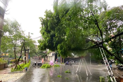 Ở những nơi xảy ra sự cố, công nhân EVNHANOI đã lập tức triển khai khắc phục hậu quả do bão số 3 gây ra, đảm bảo nguồn điện liên tục, ổn định phục vụ sinh hoạt cho khách hàng. Trong ảnh, CBCNV Công ty Điện lực Ba Đình có mặt kịp thời để xử lý sự cố điện