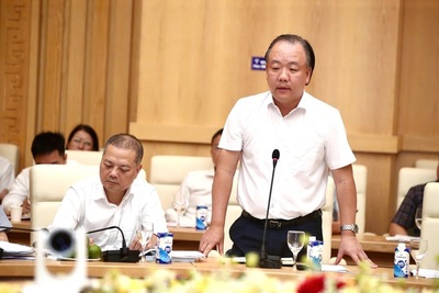 Ông Trần Hữu Linh, Cục trưởng Cục Quản lý và Phát triển thị trường trong nước báo cáo tại hội nghị