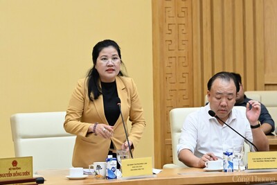 Bà Đinh Thị Phương Lan - Phó Chủ tịch Hội đồng Dân tộc