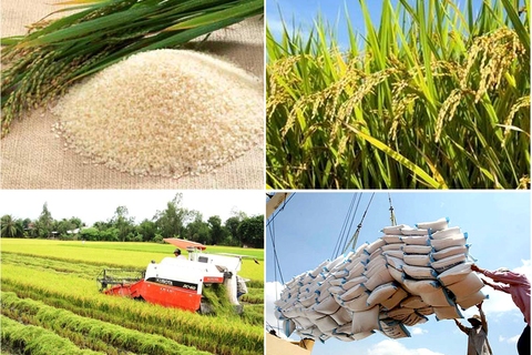 Hội nghị đánh giá kết quả xuất khẩu gạo năm 2023, quý I năm 2024 và bàn định hướng xuất khẩu gạo trong thời gian tới