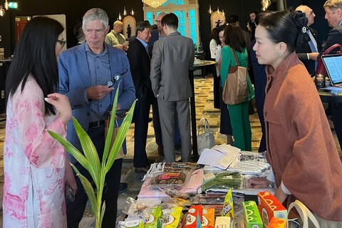 Cơ hội để Việt Nam đẩy mạnh xuất khẩu sang thị trường Hà Lan nhờ EVFTA