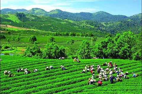 Tái cơ cấu công nghiệp, thương mại vùng Trung du miền núi phía Bắc: Khai thác và phát huy có hiệu quả mọi nguồn lực nhằm phát triển nhanh, bền vững