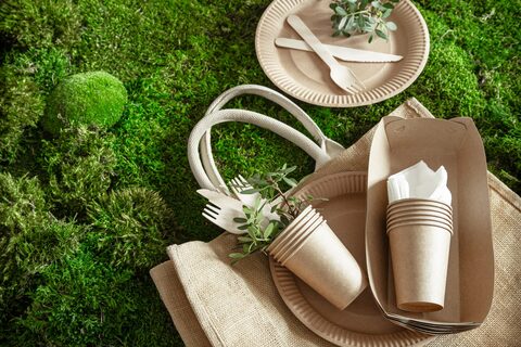 Nắm bắt công nghệ xử lý, chế biến và đóng gói bao bì theo hướng bền vững