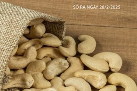 Bản tin Thị trường Nông Lâm Thủy sản số ra ngày 28/02/2025