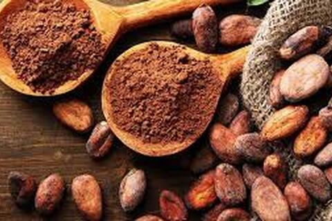 Quy định mới của EU đang tái định hình ngành ca cao