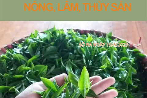 Bản tin Thị trường Nông lâm thủy sản số ra ngày 10/6/2025