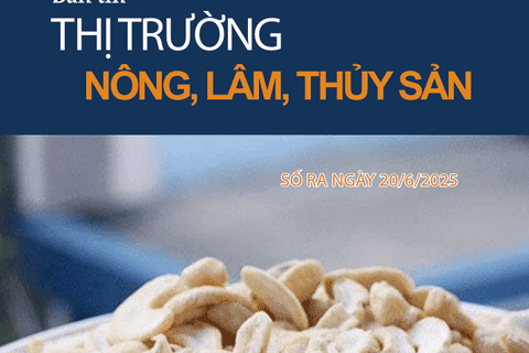 Bản tin Thị trường Nông lâm thủy sản số ra ngày 20/6/2025