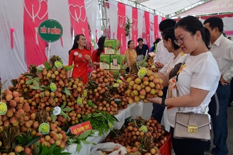 Mời tham gia Chương trình Kết nối giao thương Lễ hội trái cây và rau củ Việt Nam tại Singapore 2025