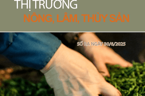 Bản tin Thị trường Nông lâm thủy sản số ra ngày 30/6/2025