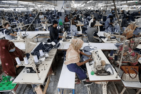 Bản tin thị trường và số liệu nhập khẩu chè Pakistan tháng 5/2025