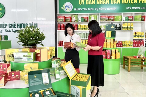 Hỗ trợ doanh nghiệp tiếp cận, ứng dụng hiệu quả công nghệ xanh