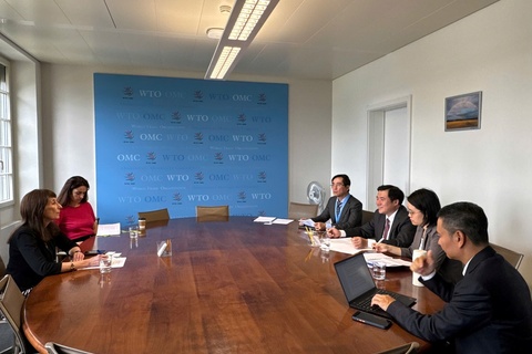 Thứ trưởng Bộ Công Thương Nguyễn Sinh Nhật Tân làm việc với Phó Tổng giám đốc WTO Angela Paolini Ellard