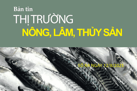 Bản tin Thị trường Nông lâm thủy sản số ra ngày 12/8/2025