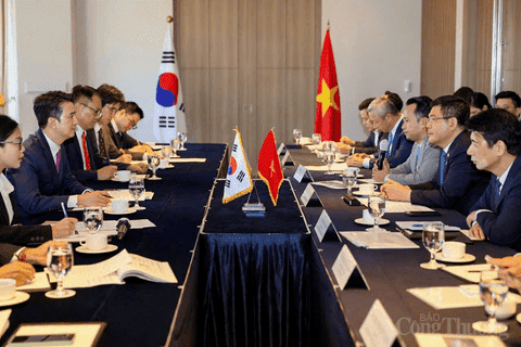 Bộ trưởng Nguyễn Hồng Diên tiếp Lãnh đạo một số Tập đoàn tiêu biểu của Hàn Quốc trong lĩnh vực công nghiệp, năng lượng