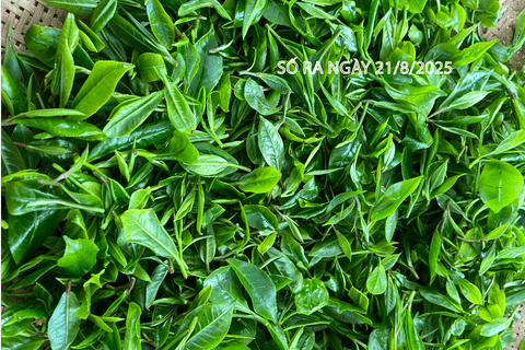 Bản tin Thị trường Nông lâm thủy sản số ra ngày 22/8/2025