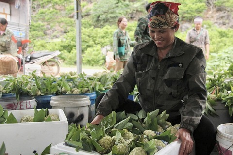 Thương hiệu Na Chi Lăng và khát vọng vươn xa