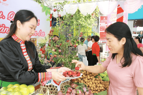 Xúc tiến thương mại: "Mở lối" cho sản phẩm Sơn La vươn xa