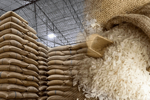 Kim ngạch xuất khẩu gạo vào thị trường Singapore năm 2024 tăng 28,45% so với cùng kỳ năm 2023