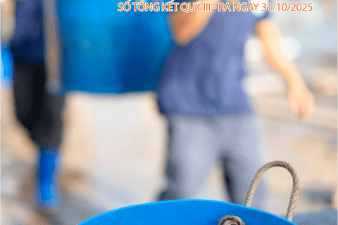 Bản tin Thị trường Nông lâm thủy sản số ra ngày 31/10/2025