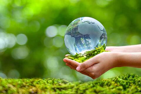 Thực thi các cam kết về môi trường trong Hiệp định CPTPP