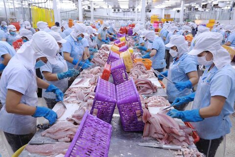 Thương mại Việt Nam - Mexico tăng tốc nhờ CPTPP