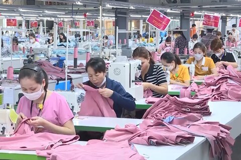 Thanh Hóa thúc đẩy sản xuất xanh, nâng tầm hàng xuất khẩu