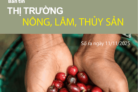 Bản tin Thị trường Nông lâm thủy sản số ra ngày 11/11/2025