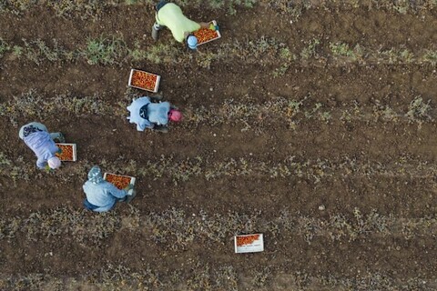 Bản tin thị trường Úc (từ 7/11/2025 đến 14/11/2025)