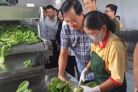 Cà Mau triển khai chương trình hành động quốc gia về sản xuất và tiêu dùng bền vững 2026