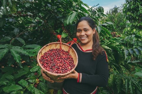 Chuỗi khép kín: Nâng cao hiệu quả tận dụng ưu đãi xuất xứ cho nông sản