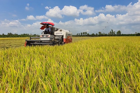 Doanh nghiệp nông sản "đi đường dài" với C/O ưu đãi