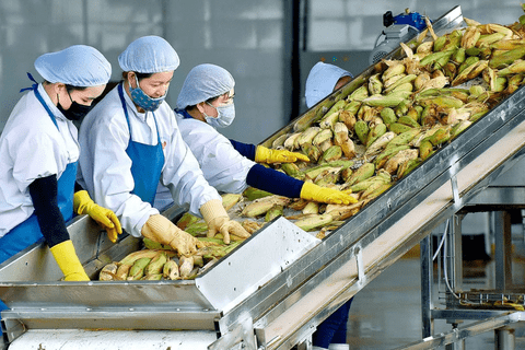 Khi xuất xứ quyết định sức cạnh tranh của hàng Việt