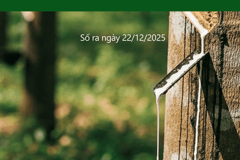 Bản tin Thị trường nông, lâm, thủy sản số ra ngày 22/12/2025