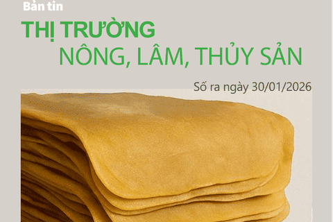 Bản tin Thị trường nông, lâm, thủy sản số ra ngày 30/1/2026